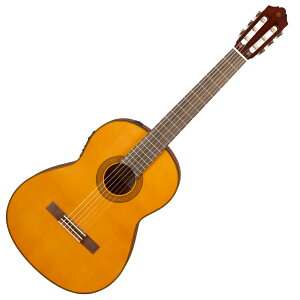 }n YAMAHA CGX122MS GNgbNNVbNM^[