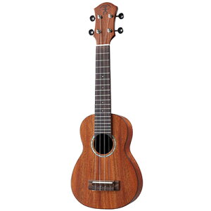 aNueNue aNN-S3 Solid Mahogany \vmEN