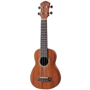 aNueNue aNN-S3E Solid Mahogany \vmEN
