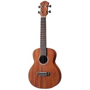 aNueNue aNN-T3E Solid Mahogany ei[EN