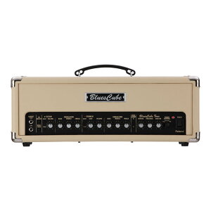 ���[�����h ROLAND Blues Cube Tour �M�^�[�A���v �w�b�h BC-TOUR 2ch�Ɨ�EQ���� 100W�w�b�h�A���v