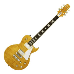 AriaProII PE-AE200 YG Aria Evergreen GLM^[