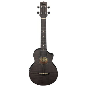 IBANEZ UEW12E-BIF GNgbNEN Black Ice Flat