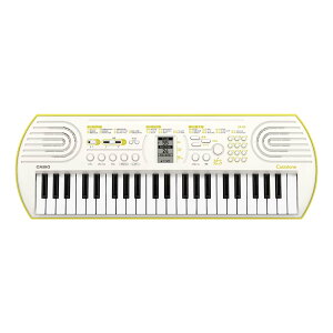 JVI CASIO SA-80 Casiotone 44~j dq~jL[{[h