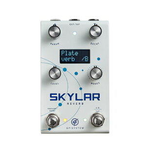 GFI SYSTEM SKYLER (XJC[) o[u REVERB M^[GtFN^[