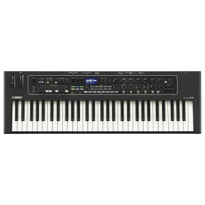 }n YAMAHA CK61 Xe[WL[{[h VZTCU[
