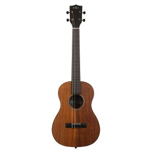 KALA KA-KOA-B ogEN nCARAލ̗p JEN