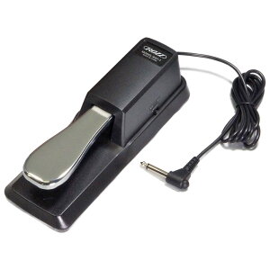 ROZZ bY SUS PEDAL RST-1 TXeBy_