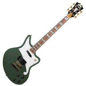 D'Angelico fBAWFR Deluxe Bedford Hunter Green GLM^[