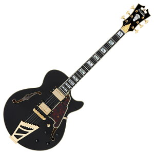 D'Angelico �f�B�A���W�F���R Excel SS Solid Black �G���L�M�^�[