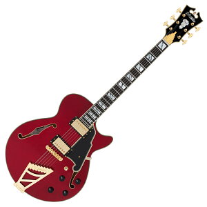 D'Angelico �f�B�A���W�F���R Excel SS Trans Cherry �G���L�M�^�[