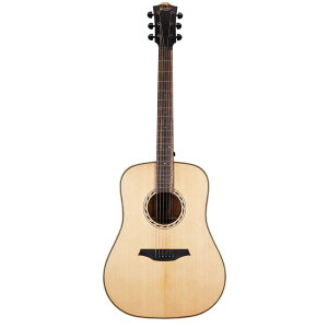 Bromo Guitars uM^[Y BAT1 TAHOMA SERIES AR[XeBbNM^[