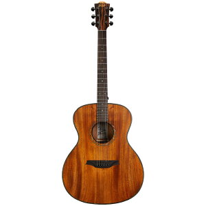 Bromo Guitars uM^[Y BAT2M TAHOMA SERIES AR[XeBbNM^[