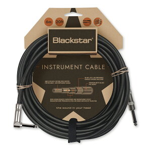 BLACKSTAR �u���b�N�X�^�[ STANDARD CABLE 6M STR/ANG �M�^�[�P�[�u�� 6���[�g�� �Б�L�^�v���O �V�[���h