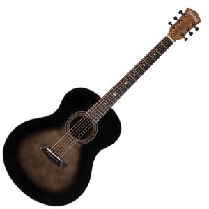 Washburn bVo[ NOVO S9 AR[XeBbNM^[
