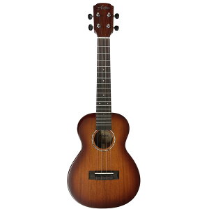 DCT fB[V[eB[ Argus AC-5 RT[gEN