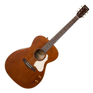 Art&Lutherie A[gAhVA[ Legacy Q-Discrete Havana Brown GNgbNAR[XeBbNM^[