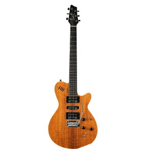 Godin �S�_�� xtSA Koa Extreme HG �G���L�M�^�[