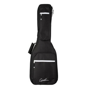 Godin �S�_�� A6 A12 A11 Multiac Series ACS Series�p�M�O�o�b�O �M�^�[�P�[�X