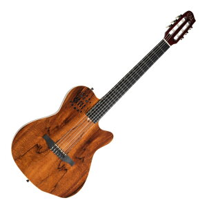 Godin S_ ACS Nylon KOA Extreme HG iC GKbgM^[