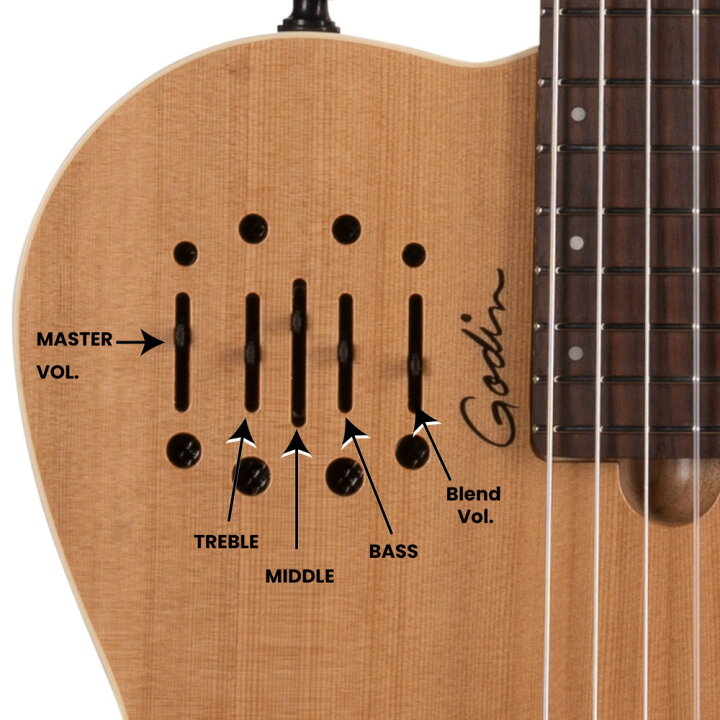 楽天市場】Godin ゴダン Multiac Nylon Encore Natural SG ナイロン弦 