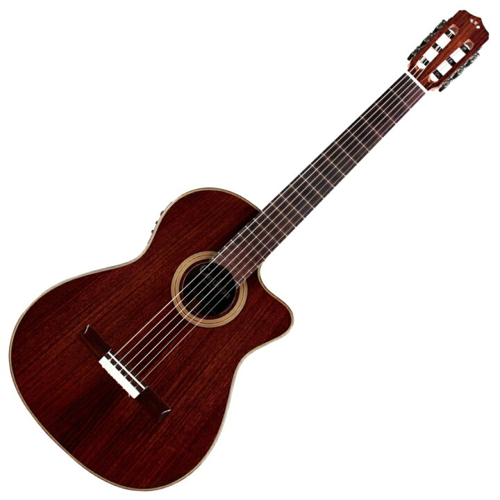 楽天市場】Cordoba コルドバ 12 ROSE II エレクトリッククラシック 