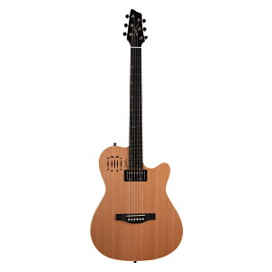 Godin S_ A6 ULTRA Natural SG GNgbNAR[XeBbNM^[