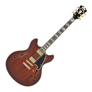 D'Angelico fBAWFR Deluxe DC Satin Brown Burst GLM^[ Z~AR