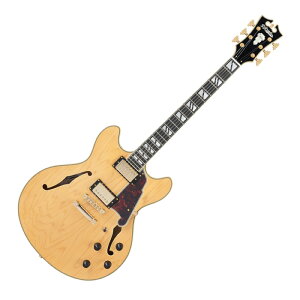 D'Angelico fBAWFR Deluxe DC Satin Honey GLM^[ Z~AR