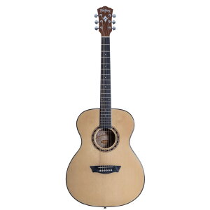 Washburn bVo[ F5 AR[XeBbNM^[