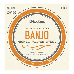 D'Addario �_�_���I EJ63i Irish Tenor Banjo Nickel Plated 12-36 �e�i�[�o���W���[��