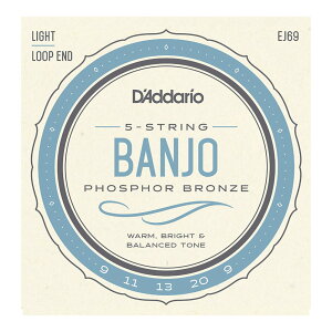D'Addario �_�_���I EJ69 5-String Banjo Phosphor Bronze Light 9-20 �o���W���[��