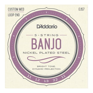 D'Addario �_�_���I EJ57 5-String Banjo Nickel Plated Custom Medium 11-22 �o���W���[��