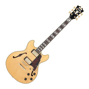 D'Angelico fBAWFR Deluxe Mini DC Satin Honey GLM^[ Z~AR