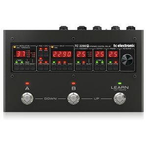 tc electronic 2290 P DYNAMIC DIGITAL DELAY fW^fBC fBC M^[GtFN^[