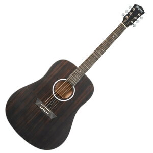 Washburn bVo[ DFED-U EBONY D AR[XeBbNM^[