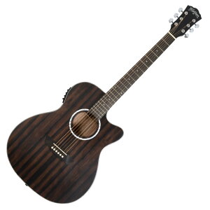 Washburn ワッシュバーン DFEACE-U EBONY ACE エレクトリックアコースティックギター