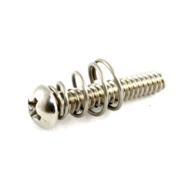 ALLPARTS オールパーツ GS-0007-005 Pack Of 8 Steel Single Coil Pickup Screws And 6 Springs ピックアップ用高さ調整ビス