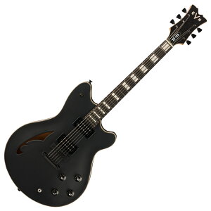 EVH C[uCGC` SA-126 Special Stealth Black XeXubN GLM^[