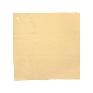 HOSCO zXR HCL-100S M^[NX Z[NX STCY