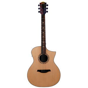Bromo Guitars uM^[Y BAA4CE GNgbNAR[XeBbNM^[ GAR
