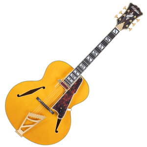 D'Angelico fBAWFR Excel Style B Amber GLM^[ tAR