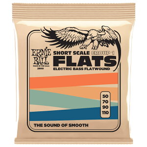 A[j[{[ x[X tbgEh ERNIE BALL 2800 Bass Flatwound Stainless Steel 4 I 50-110 SHORT SCALE XeXX`[ V[gXP[