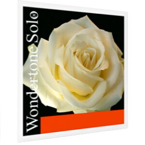 PIRASTRO �s���X�g�� �o�C�I������ Wondertone Solo 312221 �����_�[�g�[�� �\�� A�� �X�`�[�� / �A���~