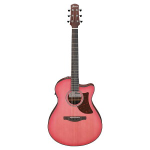 IBANEZ ACoj[Y AAM50CE-CRO GNgbNAR[XeBbNM^[