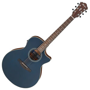 IBANEZ ACoj[Y AE100-DBF GNgbNAR[XeBbNM^[