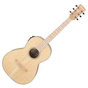 Ibanez ACoj[Y PN29E-OPN GNgbNAR[XeBbNM^[