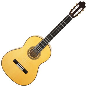 JOSE ANTONIO zZAgjI NO.1F Flamenco tRM^[