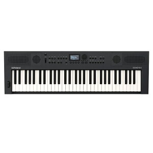 L[{[h 61 [h ROLAND GOKEYS5-GT GO:KEYS 5 Entry Keyboard Gg[L[{[h Ot@Cg ubN t {[J͑Ή