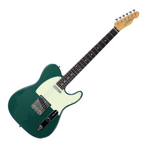 Tokai g[JC ATE-101/R SGM GLM^[